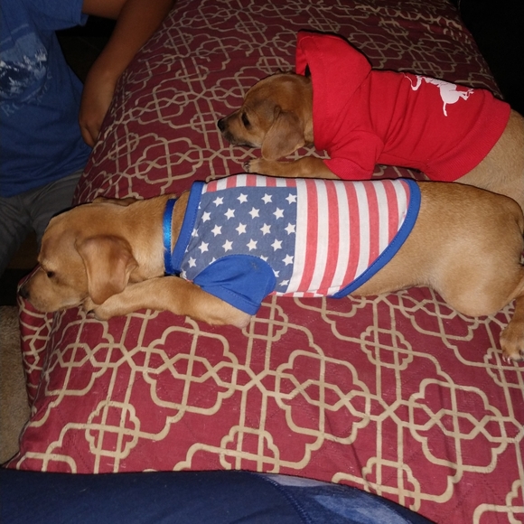 Not for sell - Picture 1 of 1